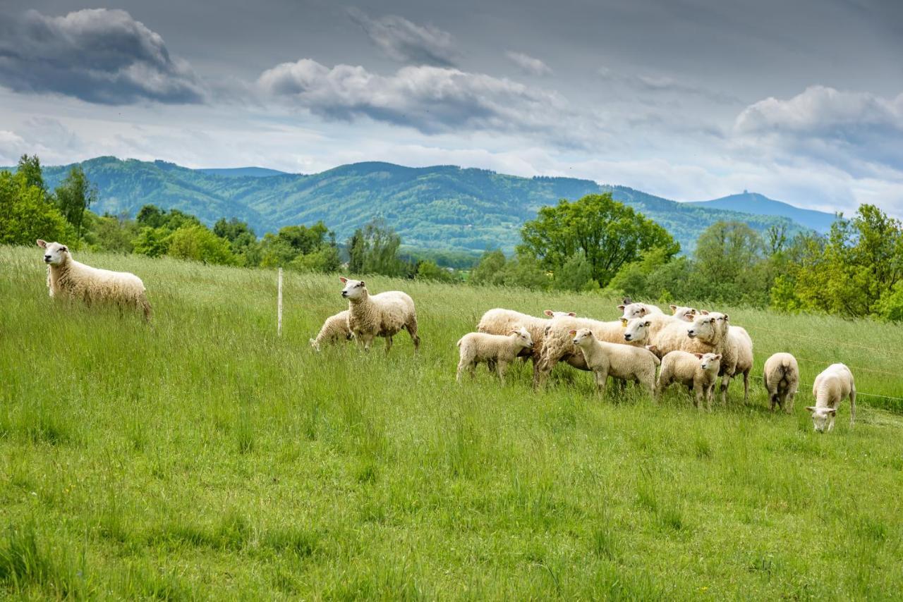 Agroturistika - "Domecek U Ovecek" Villa Horní Těrlicko Dış mekan fotoğraf