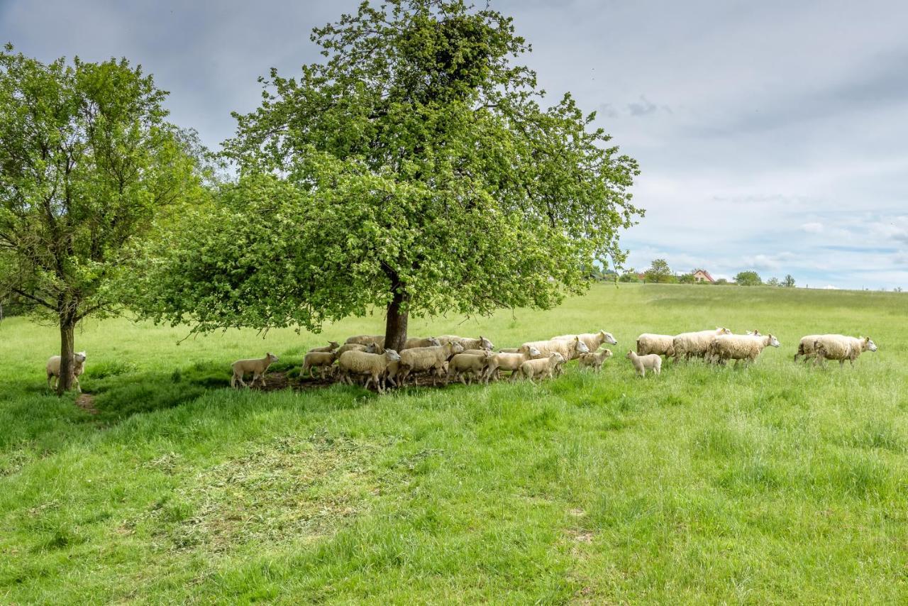 Agroturistika - "Domecek U Ovecek" Villa Horní Těrlicko Dış mekan fotoğraf