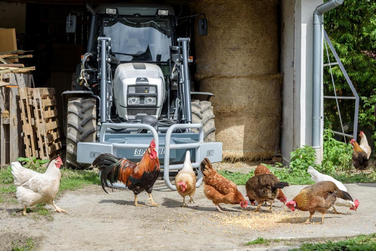 Agroturistika - "Domecek U Ovecek" Villa Horní Těrlicko Dış mekan fotoğraf