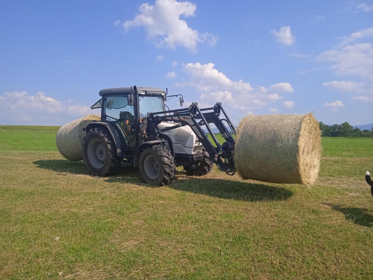 Agroturistika - "Domecek U Ovecek" Villa Horní Těrlicko Dış mekan fotoğraf